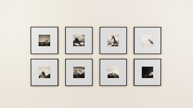 Eight photographs hanging on a wall